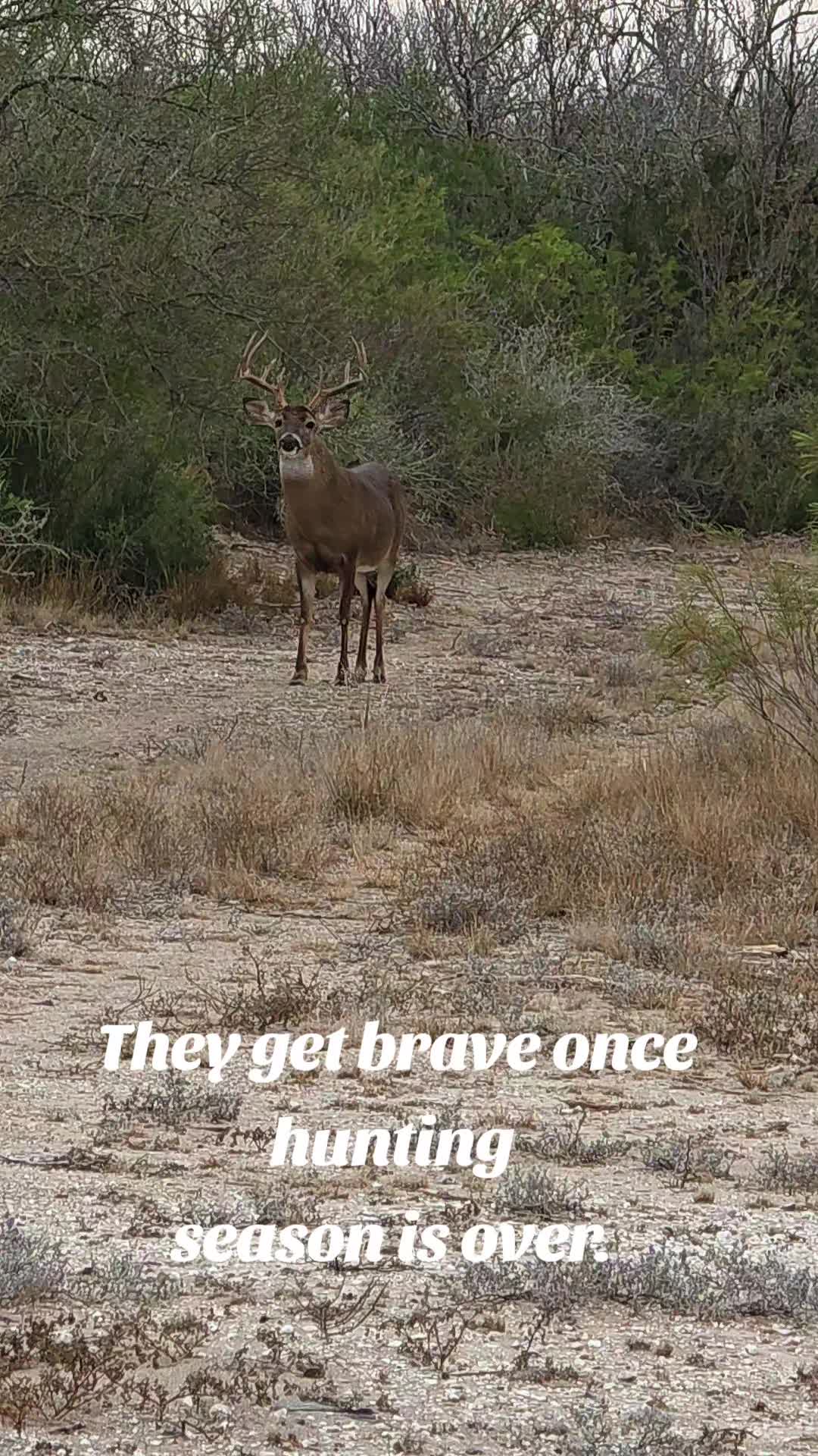 @Blablablajonboy