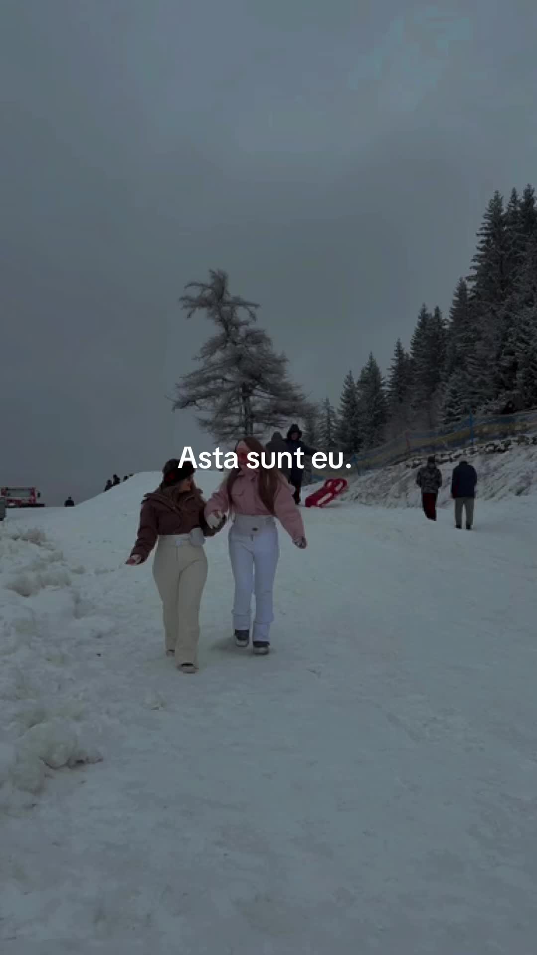 @Oana Codescu