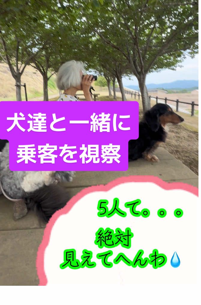 @もっさん