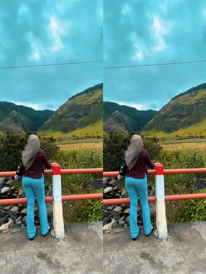 @🍃
