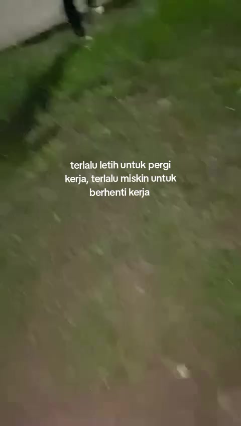 @dess kirana 🐬