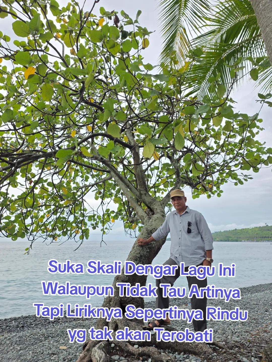 @Taufan Tan