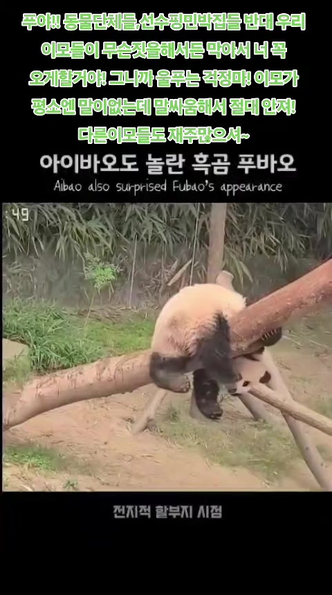 @반짝이는비니♡