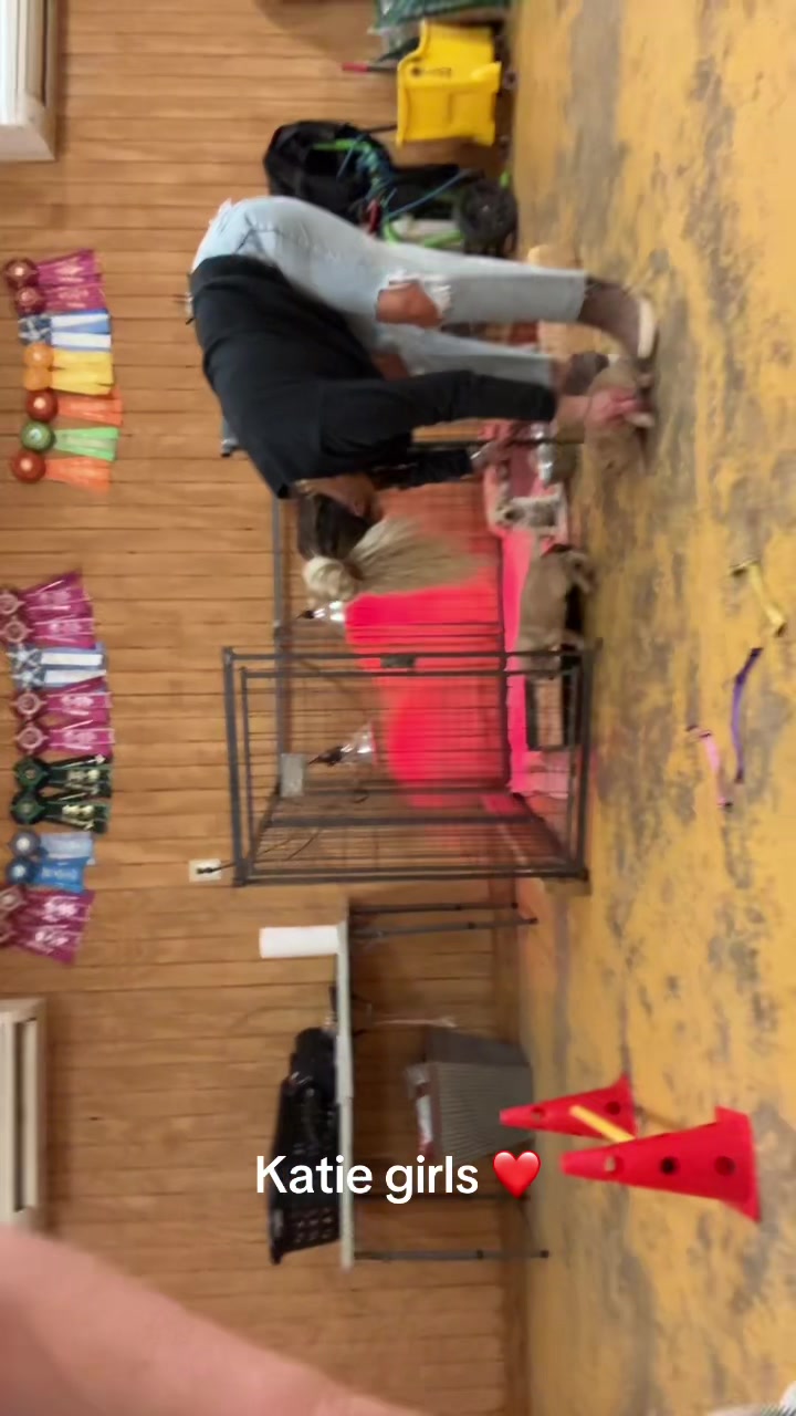 @RhondasRetrievers