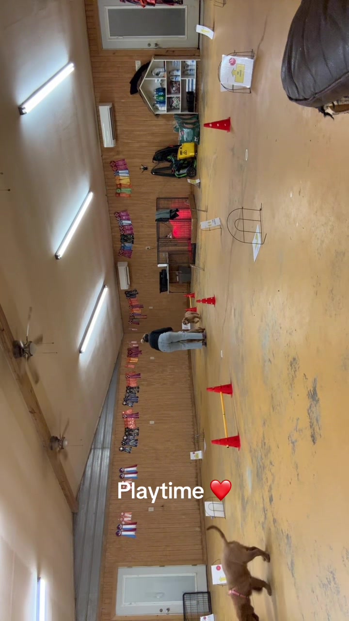 @RhondasRetrievers