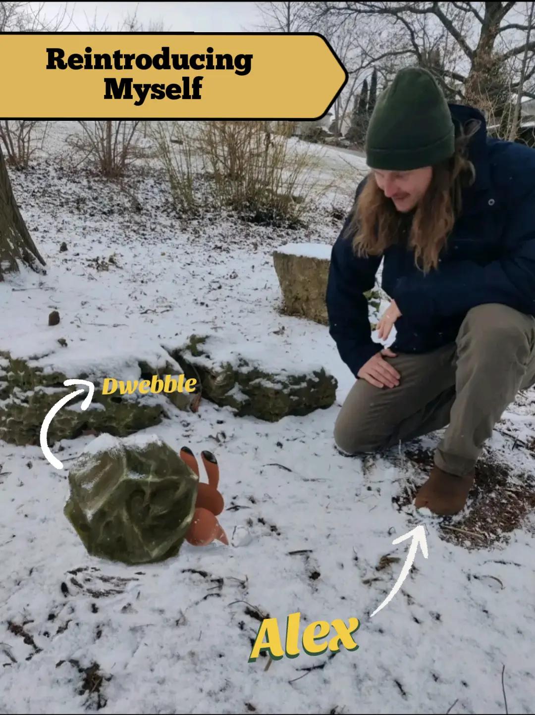 @GeekEcology