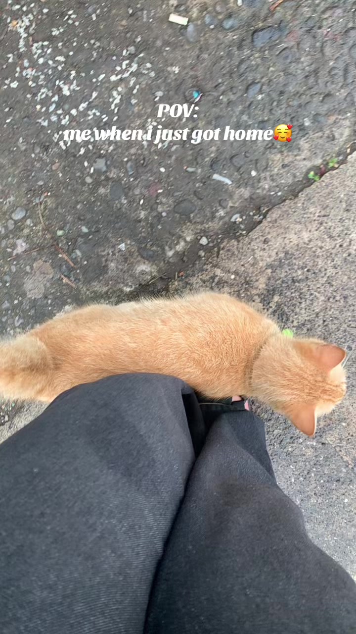 @🧿
