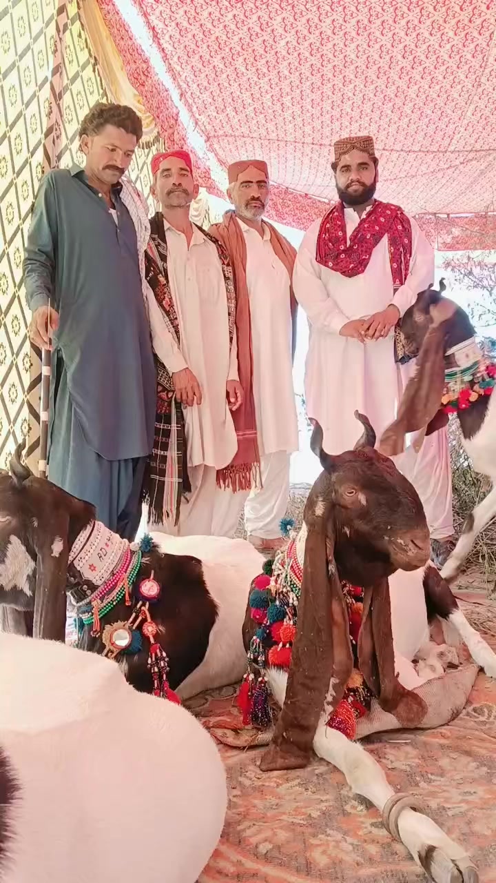 @💸عبدالخالق چانڊيو⚡🫀