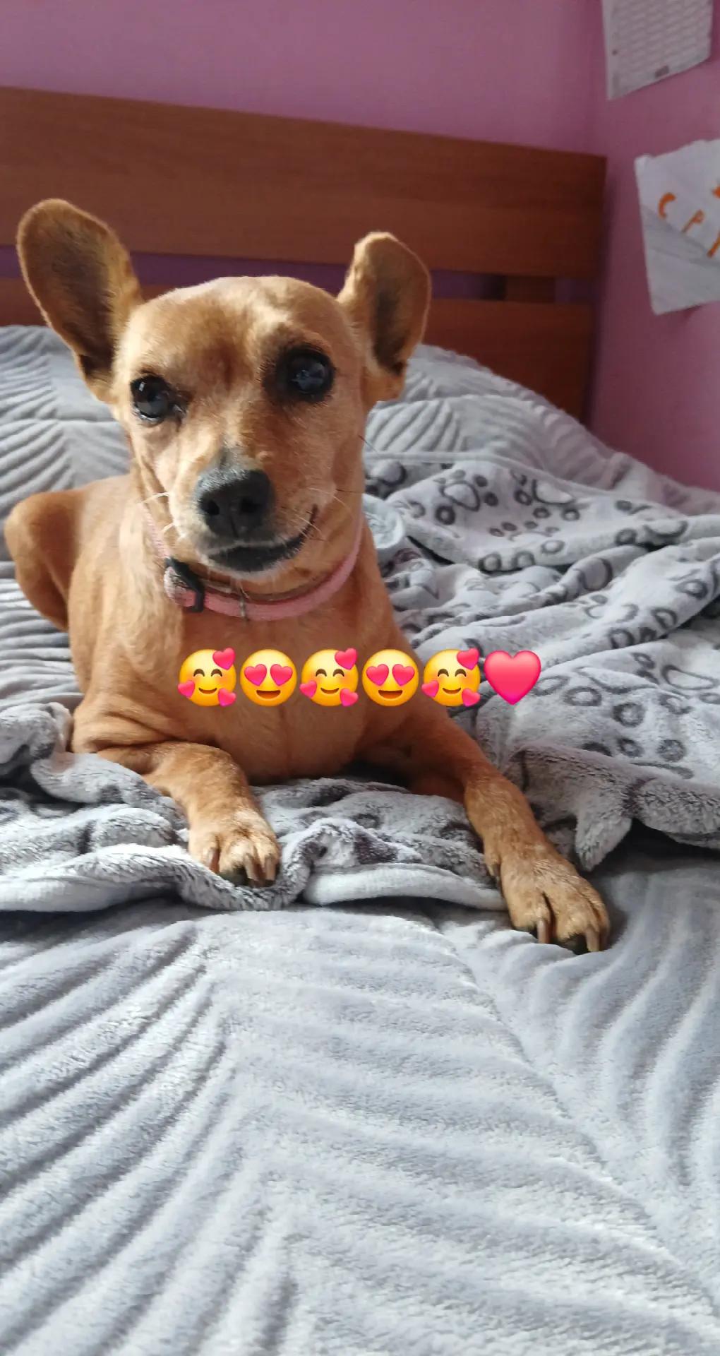 @fotinoula 🥰🥰