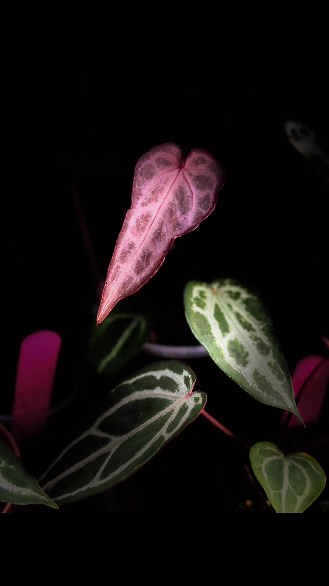 @KeepcầmK&acirc;y🥦