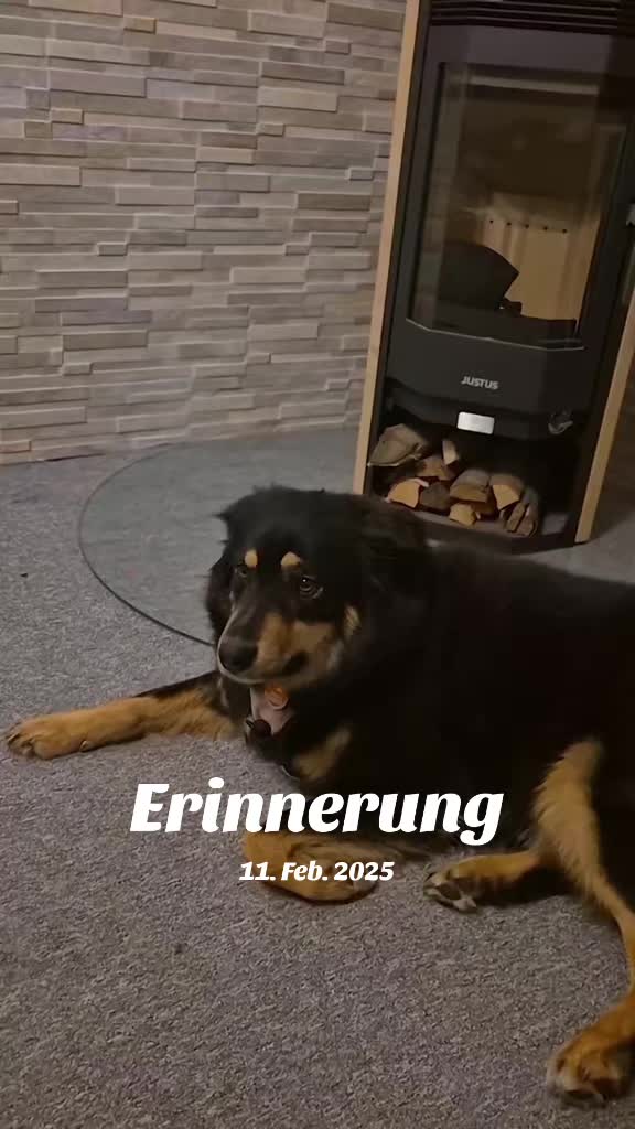 @Claire_Hund