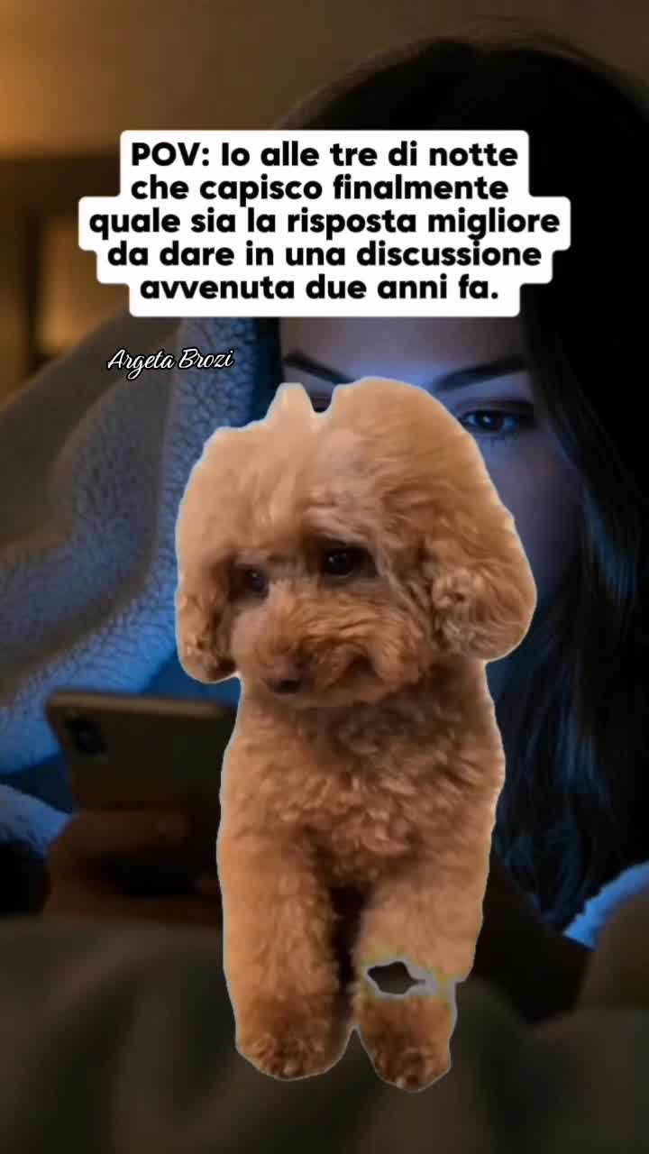 @Argeta Brozi