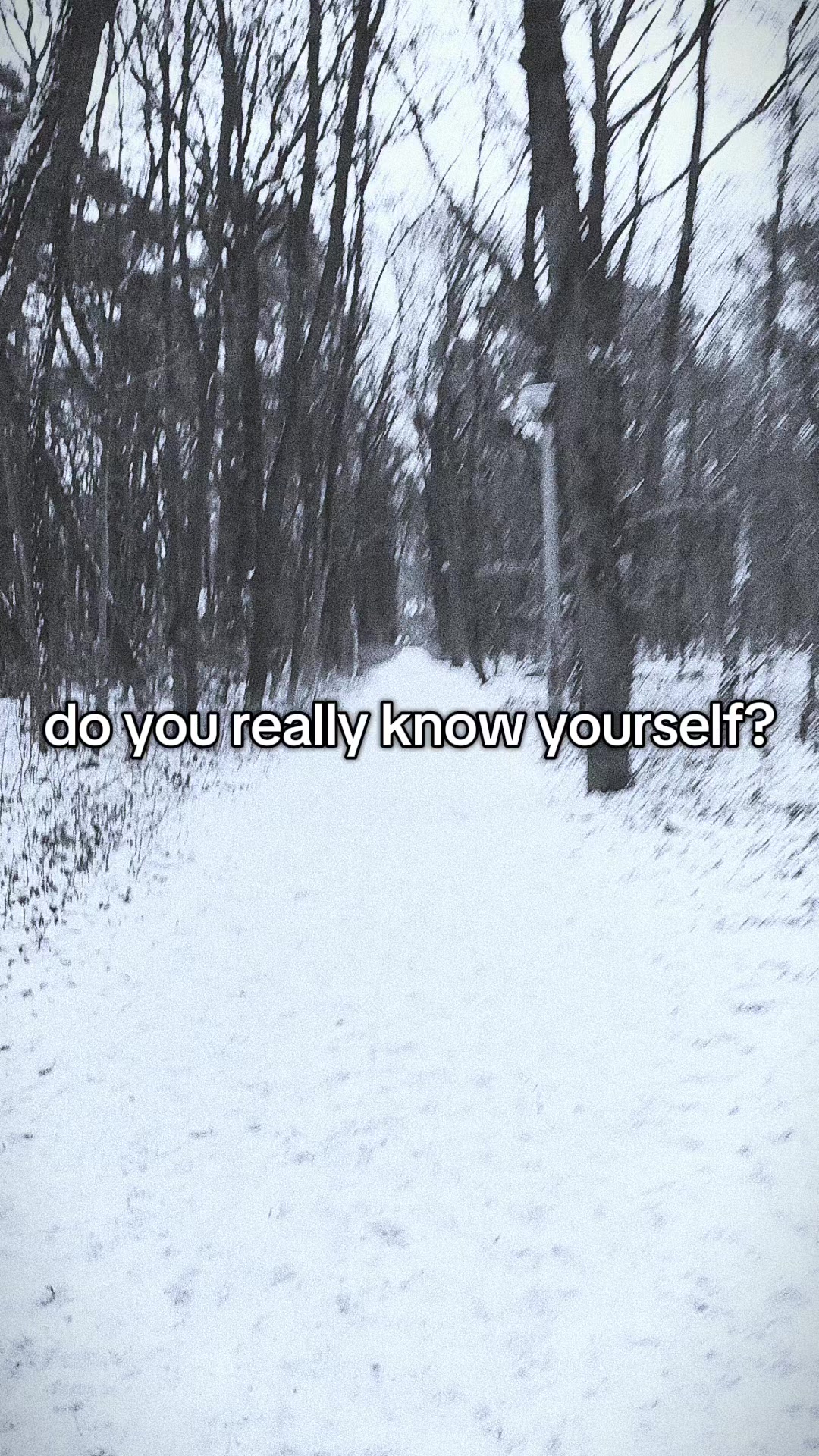 @skyrimlover9999