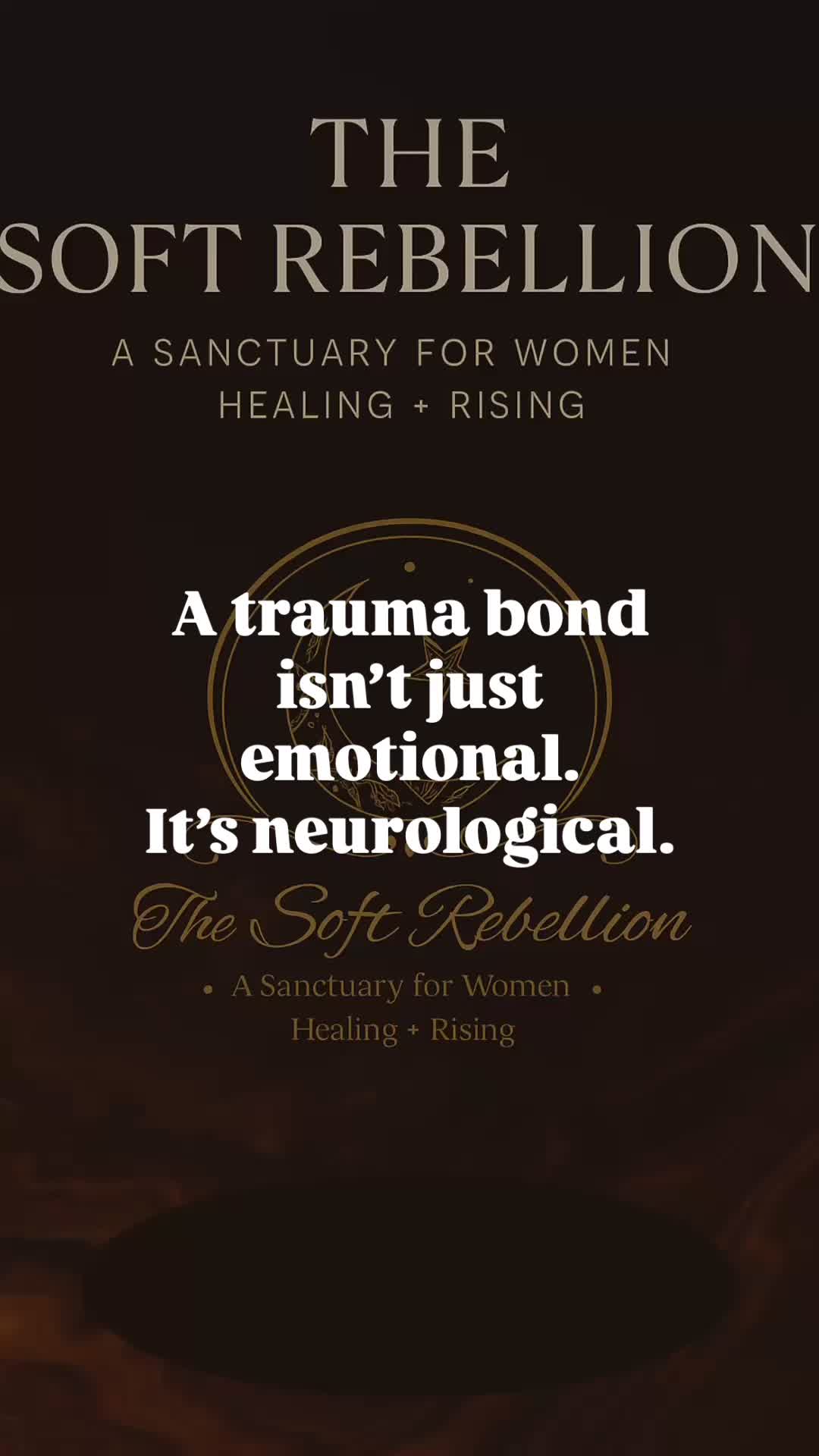 @TheSoftRebellion0