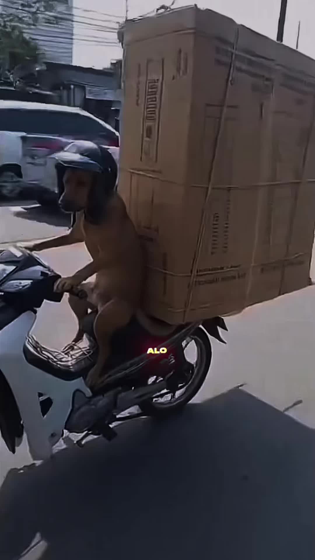 @TikTok gut👍🏻 👌🏻✌🏻