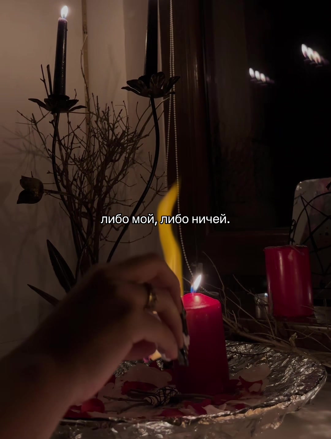 @korneliu🪽