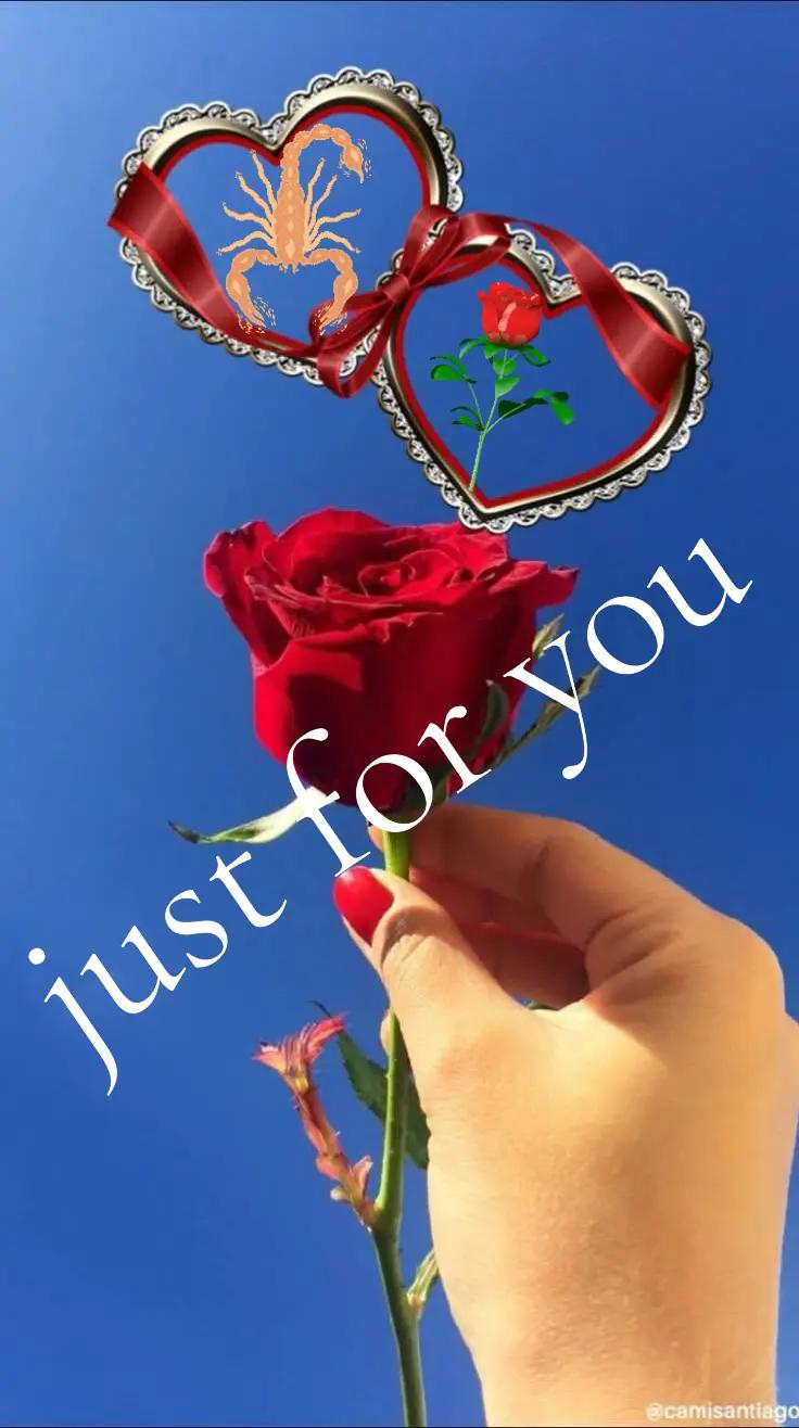 @Jasmin
