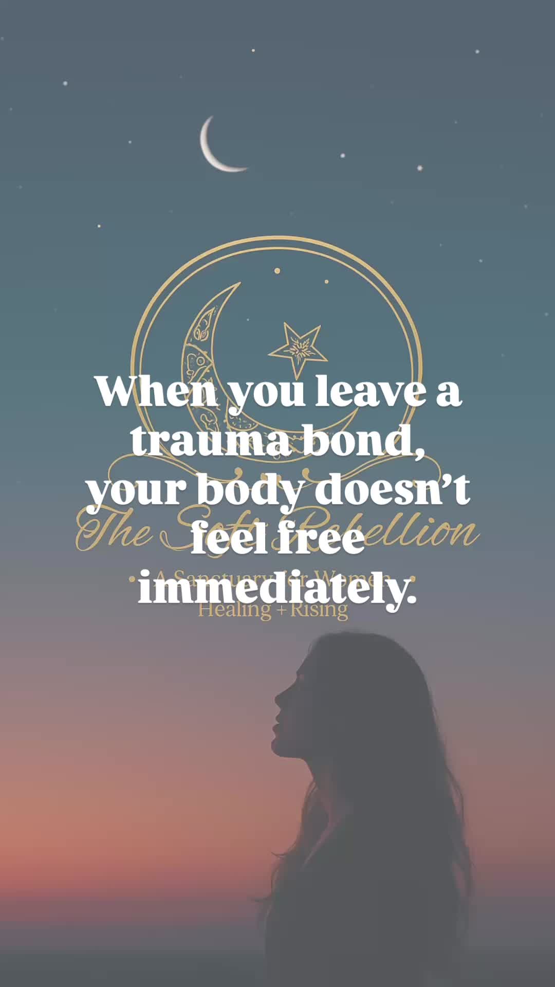 @TheSoftRebellion0