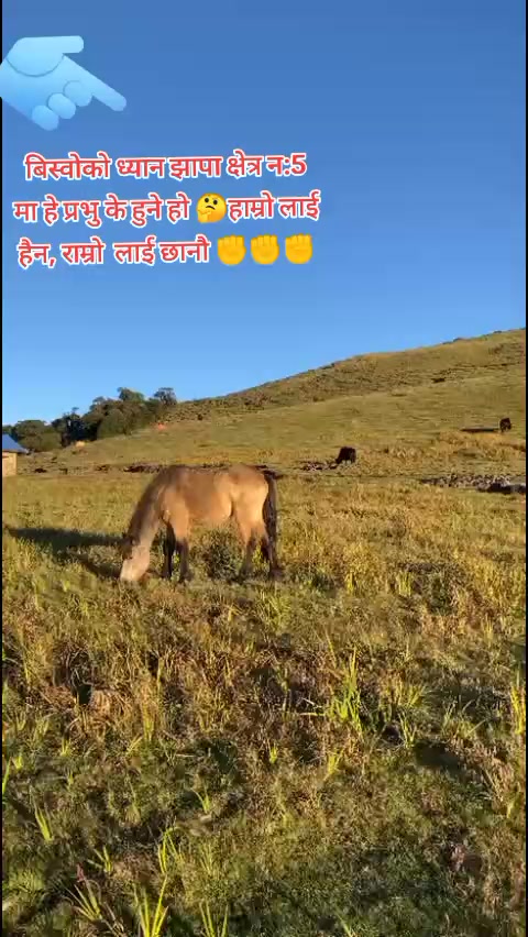 @rajkc702