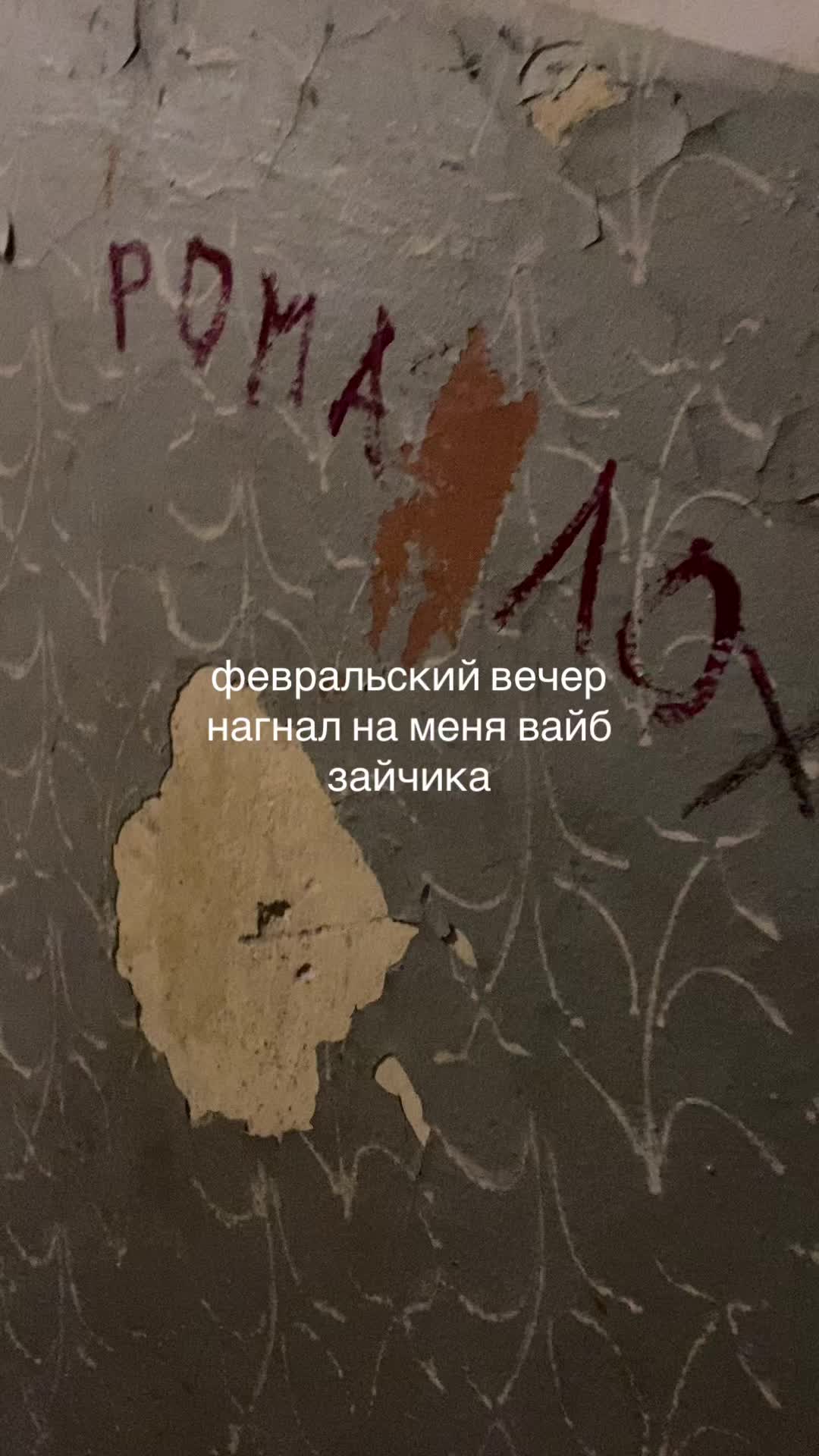 @котя риндити