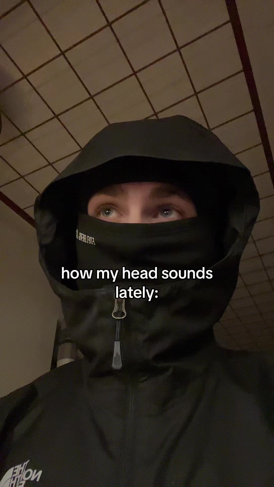 @Lynxer