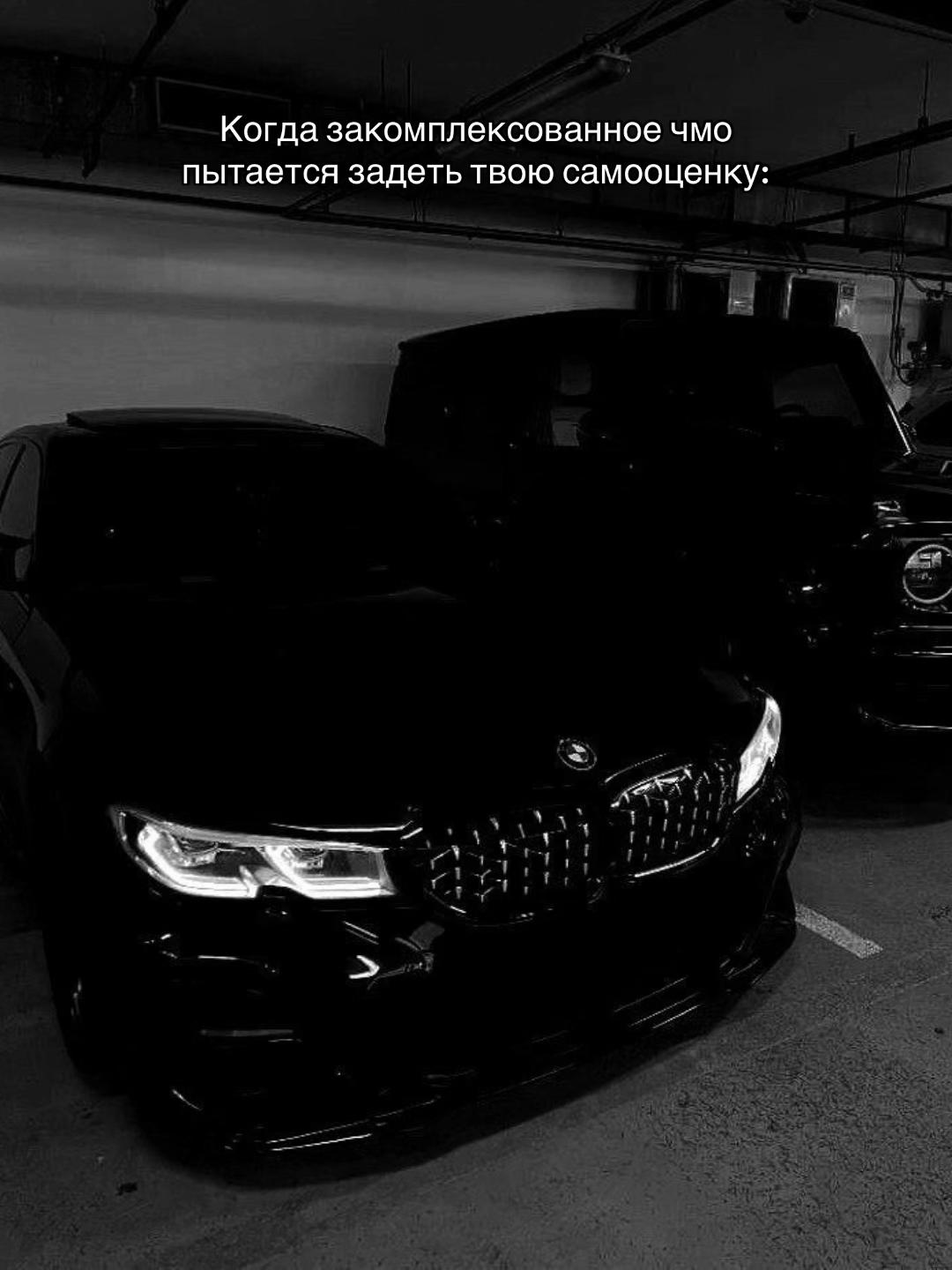 @777_koshka_777_