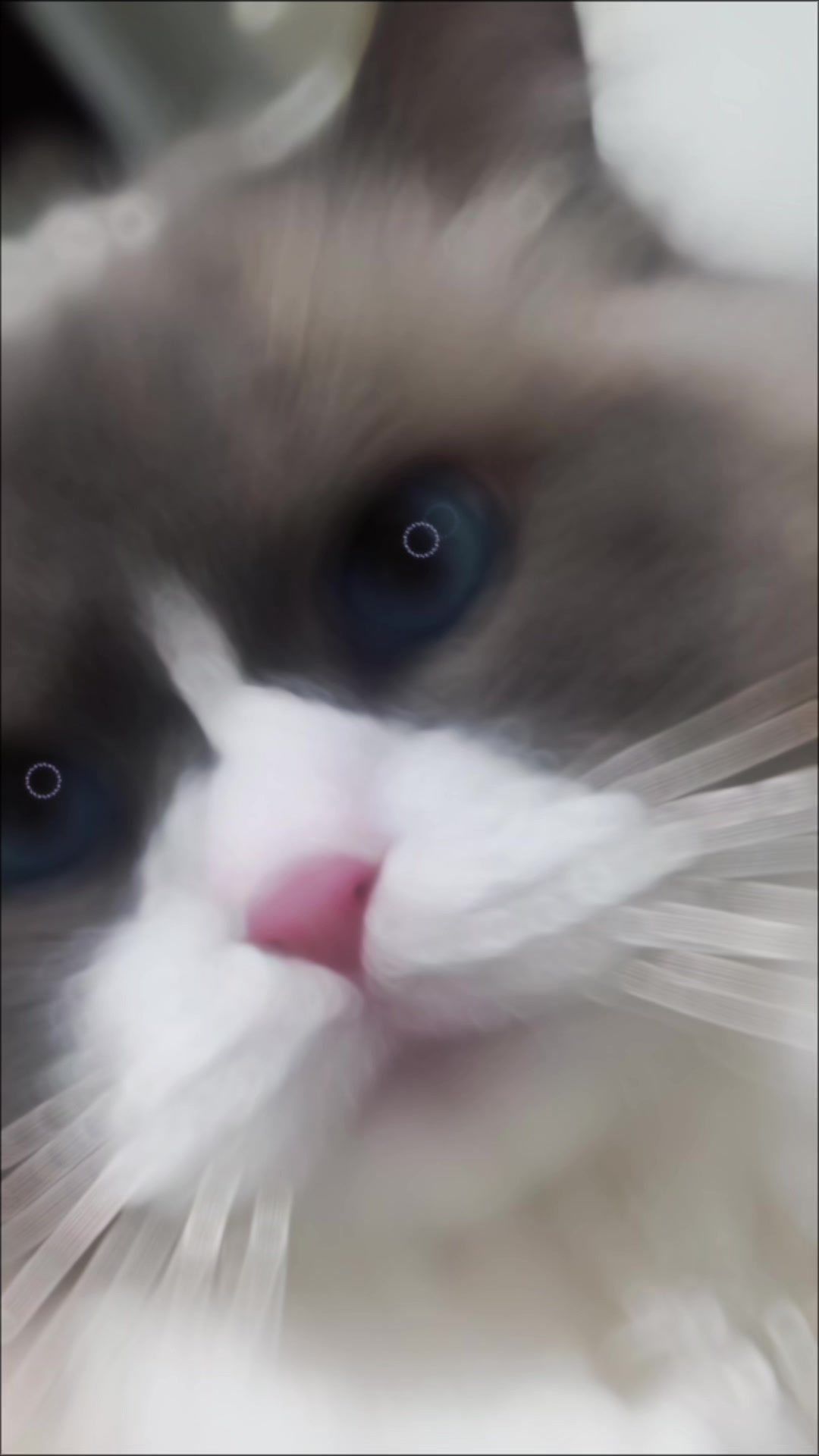 @Umm