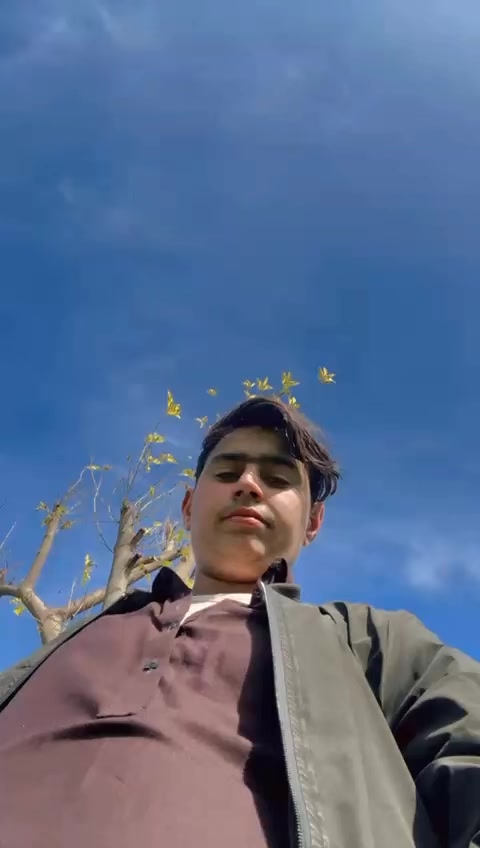 @abubkerkhan313