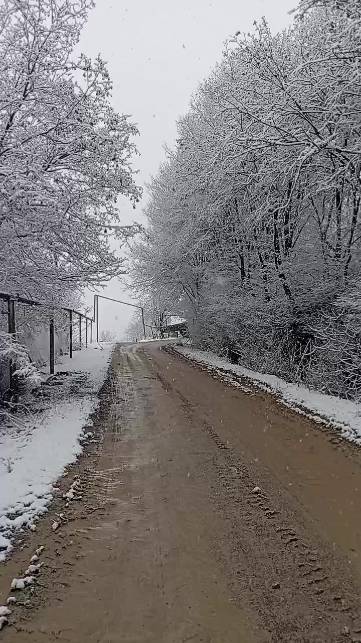 @&Ouml;Z_D&Uuml;NYAM