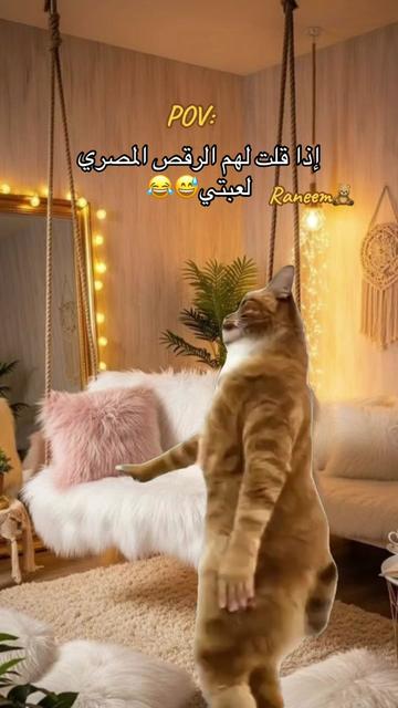 @Raneem Jokhadar