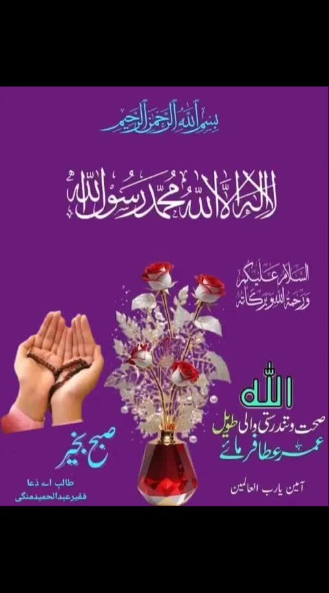 @mohamad momin