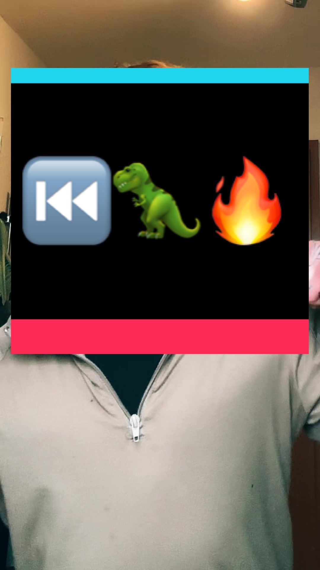 @Original_Dinopapa🦖