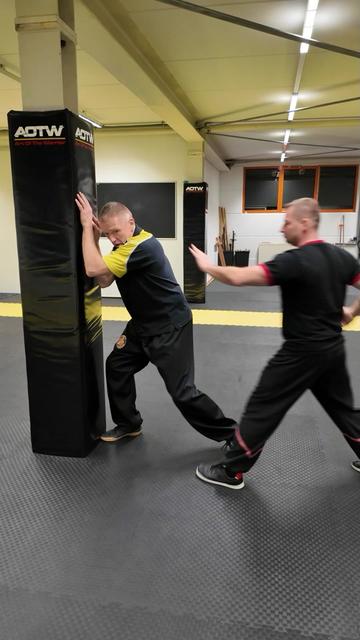 @Sifu Martin Hofmann