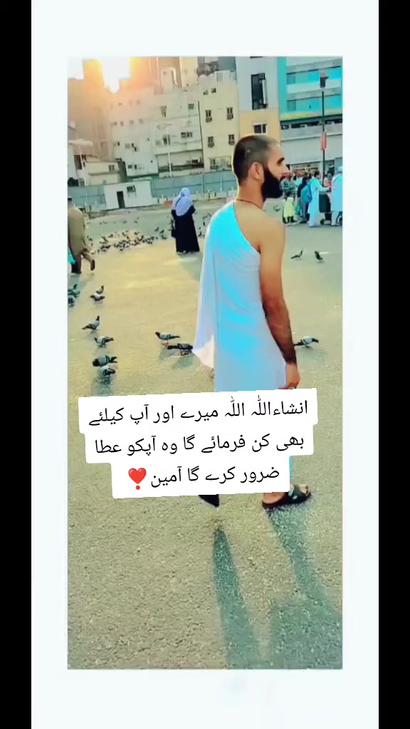 @Najeeb Warriach