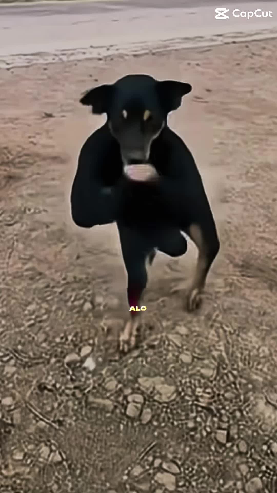 @raedits79