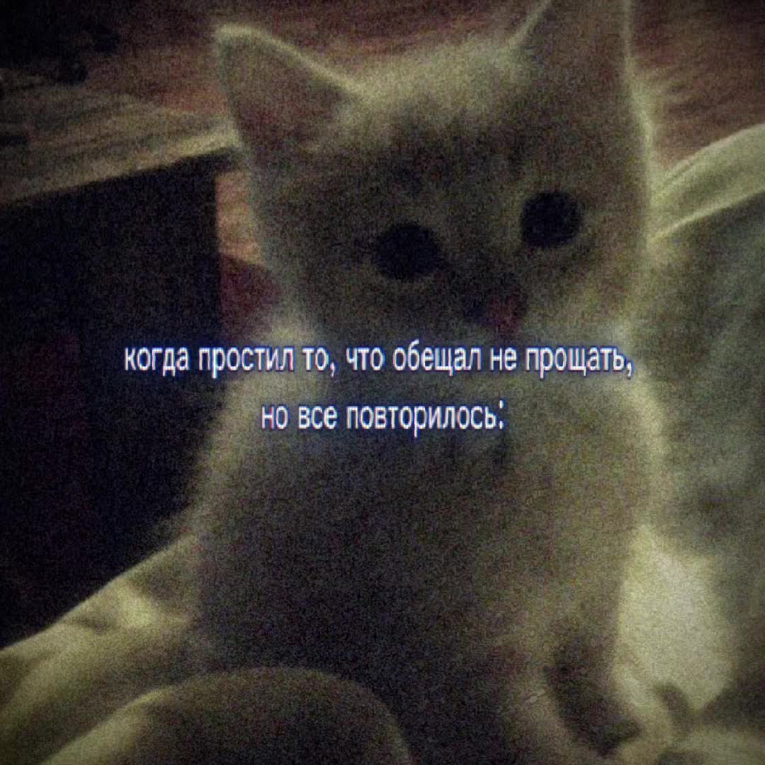 @щп аккаунт