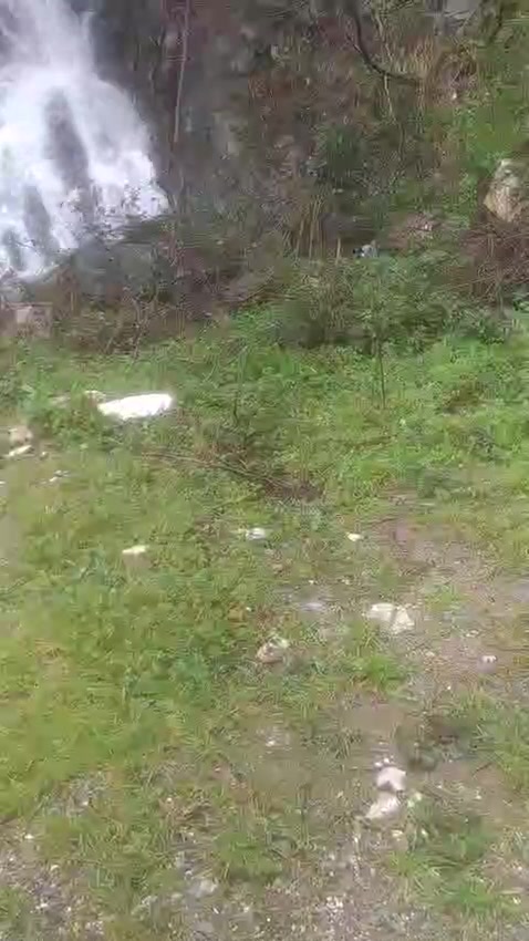 @y&ouml;r&uuml;k kızı