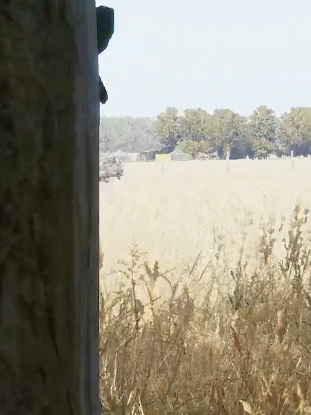@Armatoli4