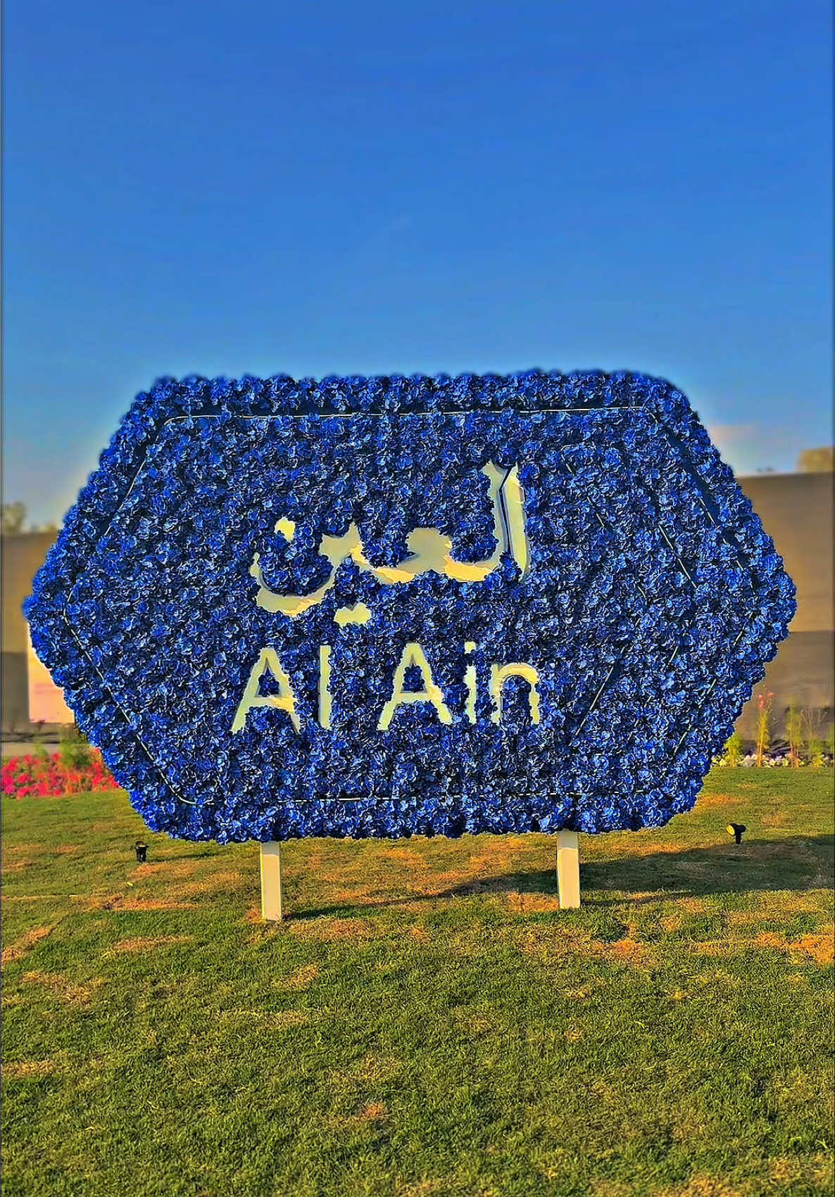 @Saqib Al Ain 🇦🇪