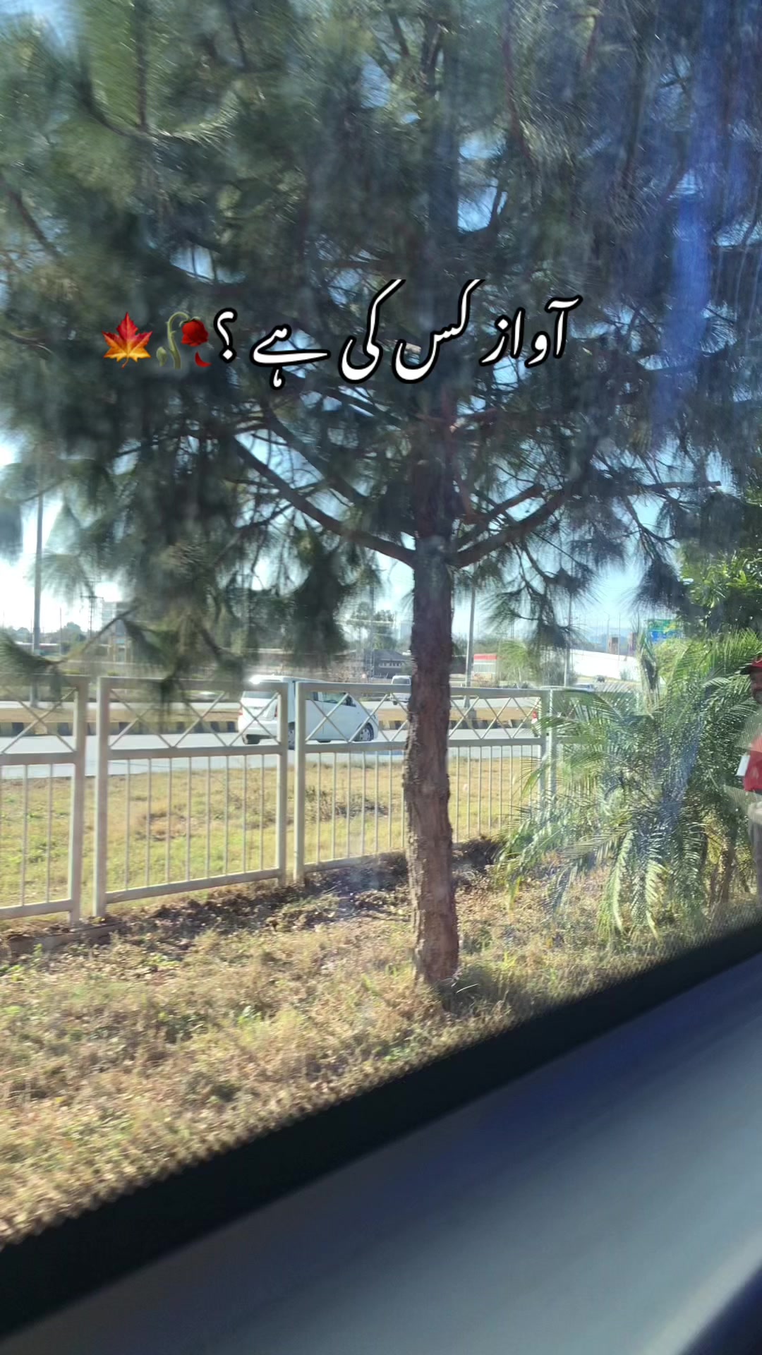 @کشمیری🥀🍁
