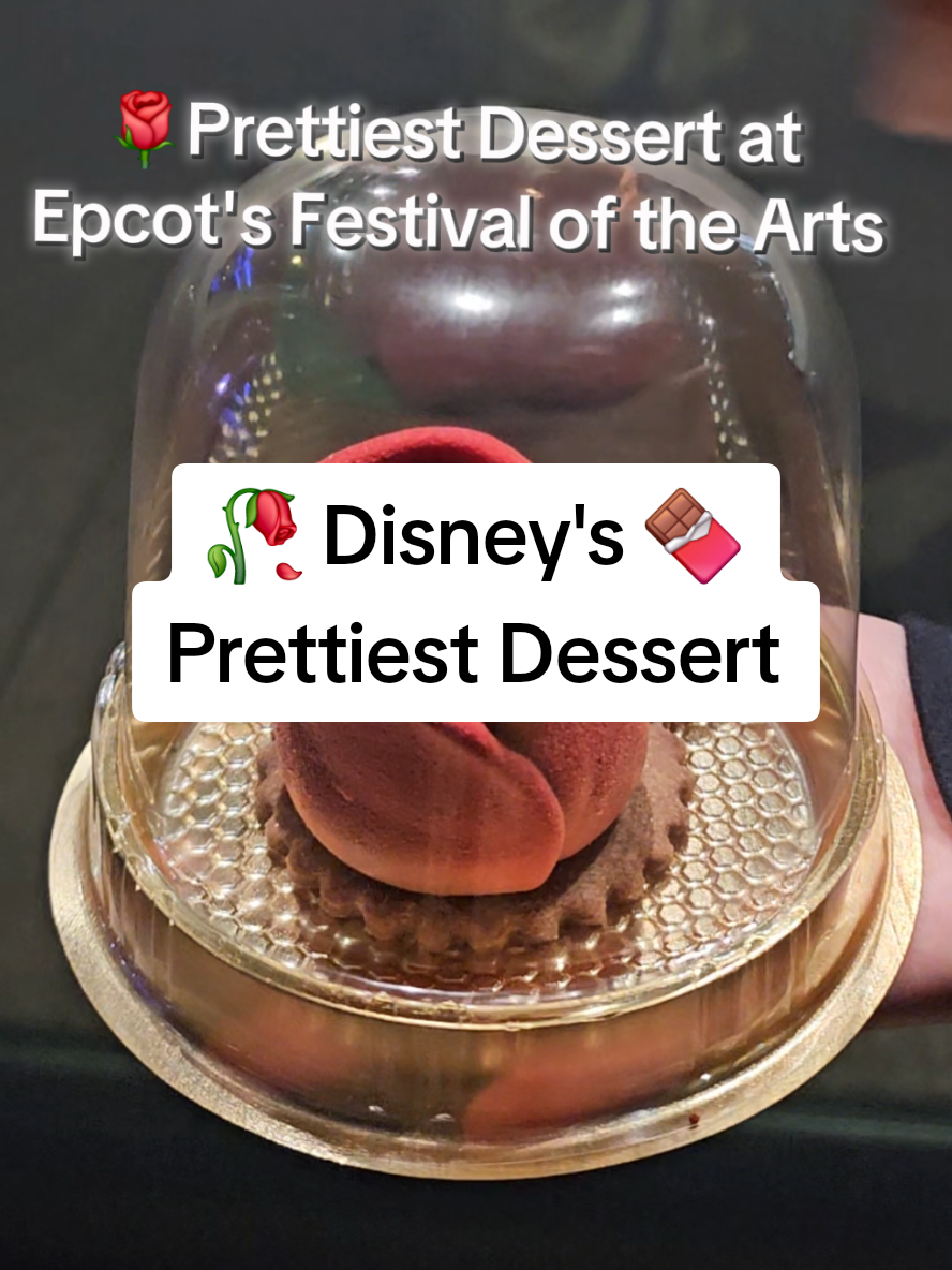 @sipsnapstories