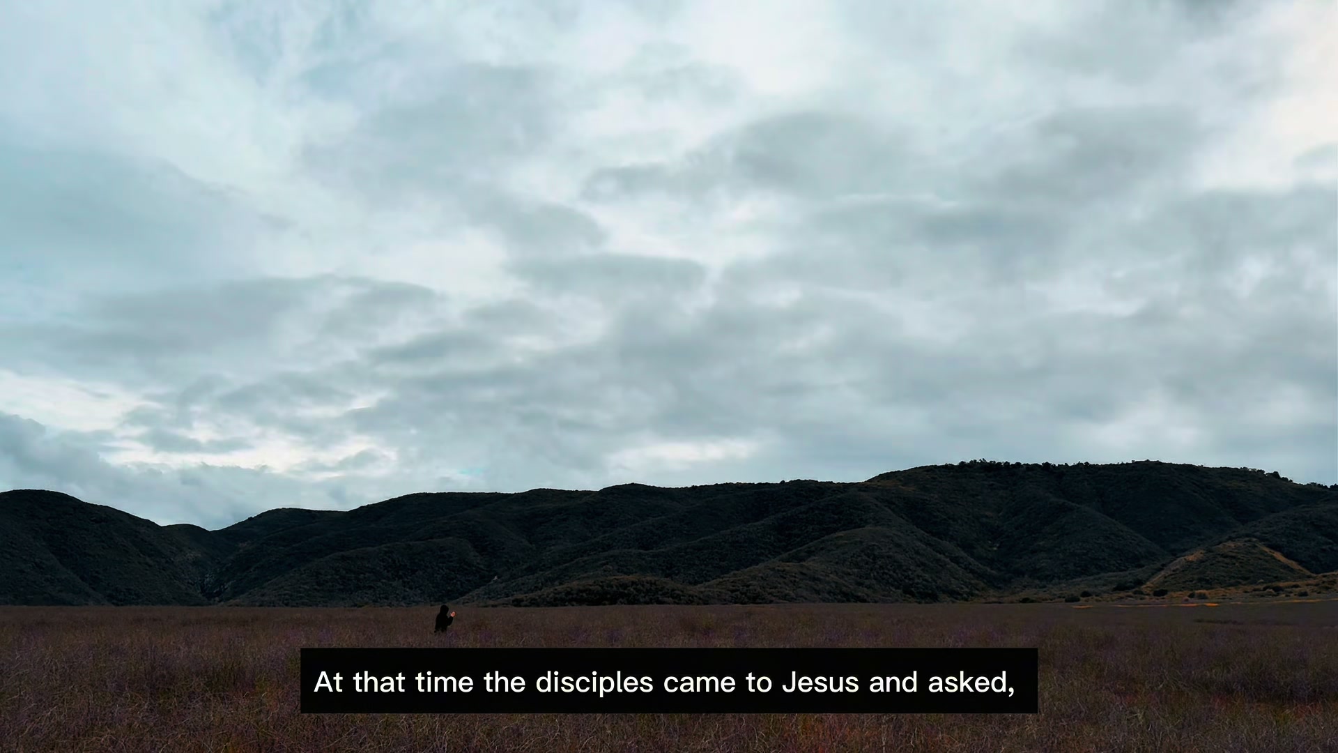 @SEEK