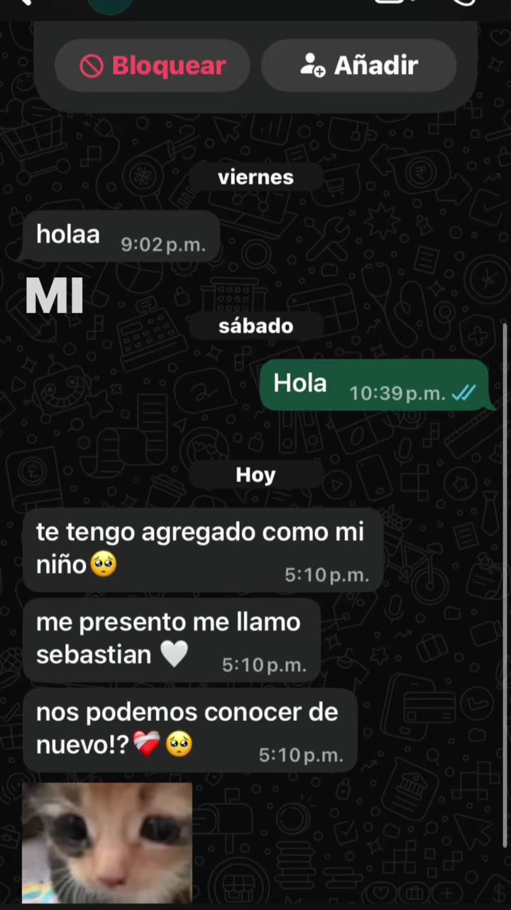 @dzn_nz.15
