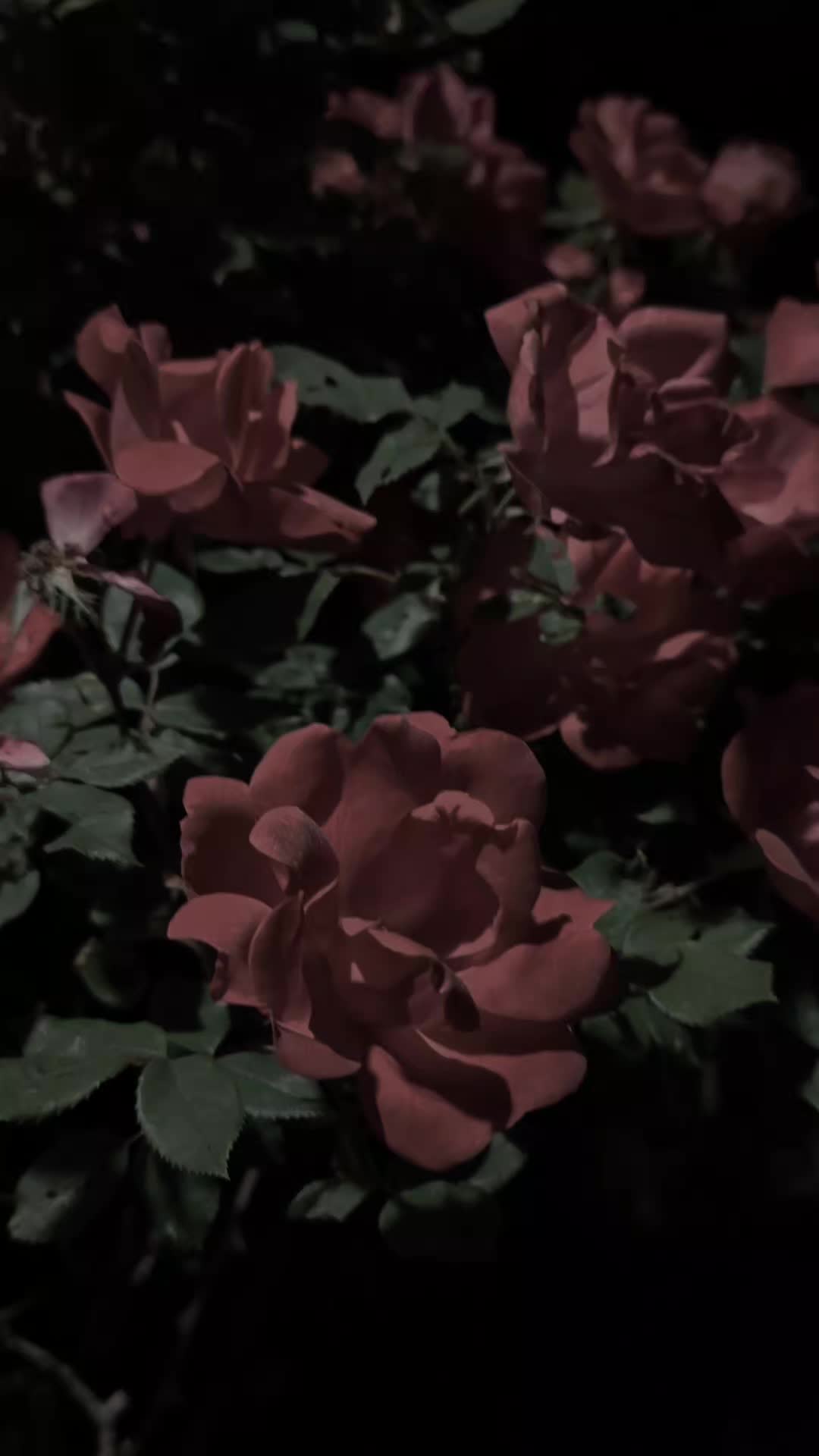 @Gospel ✝️✝️✝️