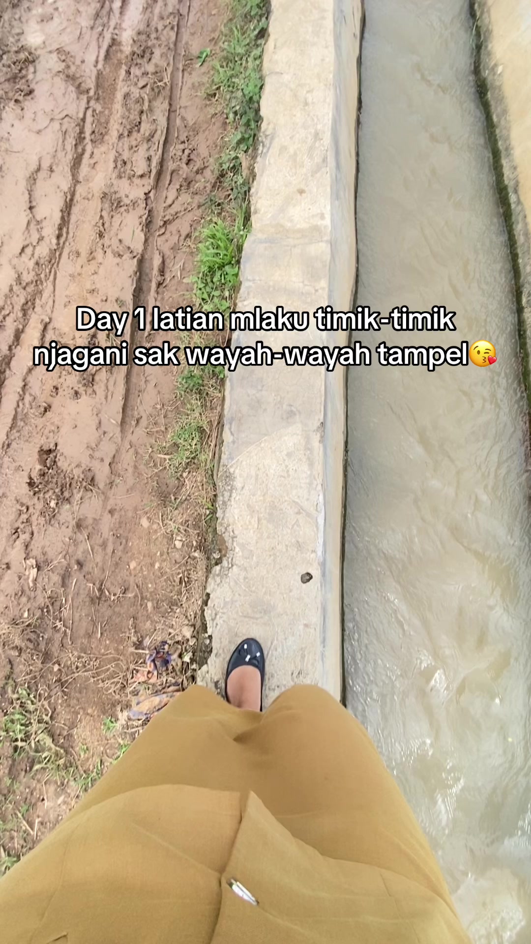 @aadeliaw🫧🦋🌷