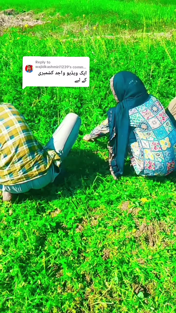 @Sana♡ کشمیری🥀