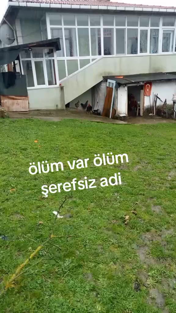 @M&Uuml;SL&Uuml;MC&Uuml; 41 🟡🇹🇷🔵