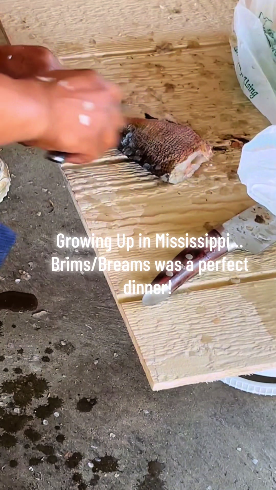 @BrittNicole