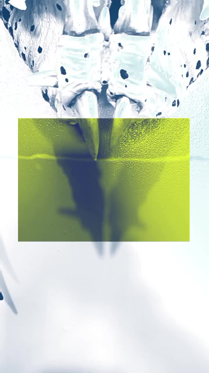 @Monks_fx