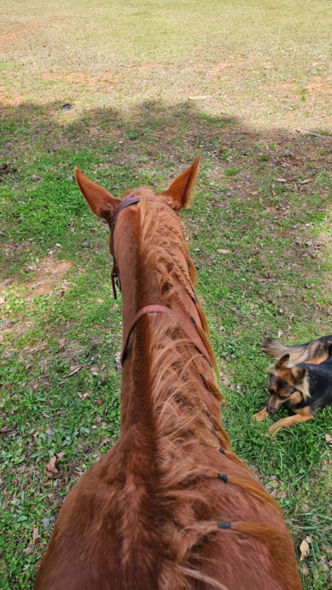 @southerncowgirl